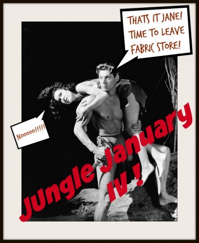 Jungle January and a black & blue Ocelot!