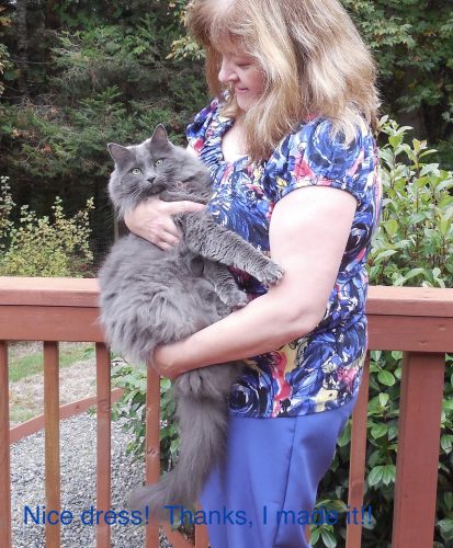 pants-cat